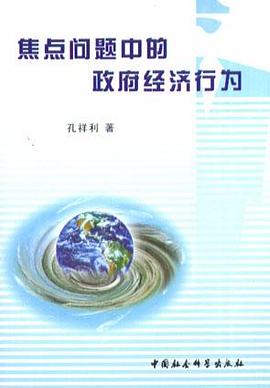 焦点问题中的政府经济行为