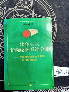 社会主义市场经济系统分析-中国特色社会主义及其经济制度探索