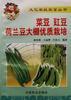 菜豆、豇豆、荷兰豆大棚优质栽培