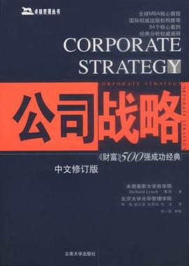 公司战略-财富500强成功经典(中文修订版)