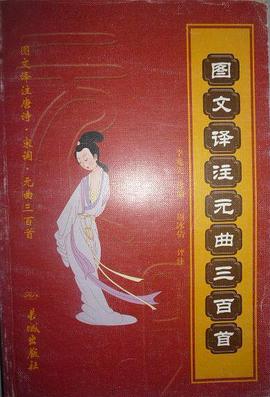 图文译注宋词