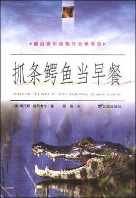 抓条鳄鱼当早餐