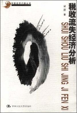 税收流失经济分析