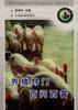 养猪窍门百问百答