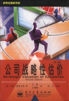公司战略性估价（第2版）