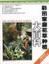 彩图家庭花草种植大百科