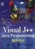 Visual J++程序设计