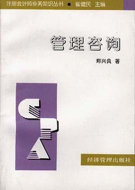 管理咨询