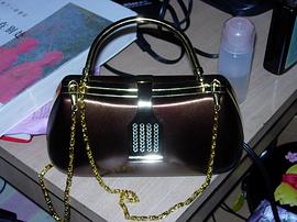 钻石落入我腰包-一个钻石大盗的回忆