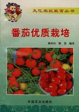 番茄优质栽培