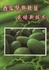 西瓜早熟秋延栽培新技术