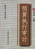 预算执行审计