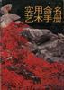 实用命名艺术手册