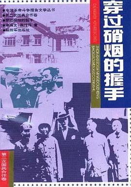 穿过硝烟的握手