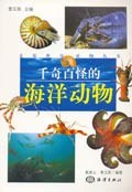 千奇百怪的海洋动物