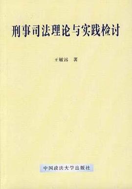 刑事司法理论与实践检讨