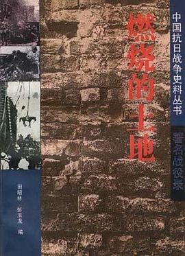 燃烧的土地