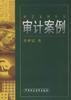 审计案例
