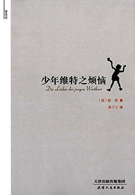 少年维特之烦恼